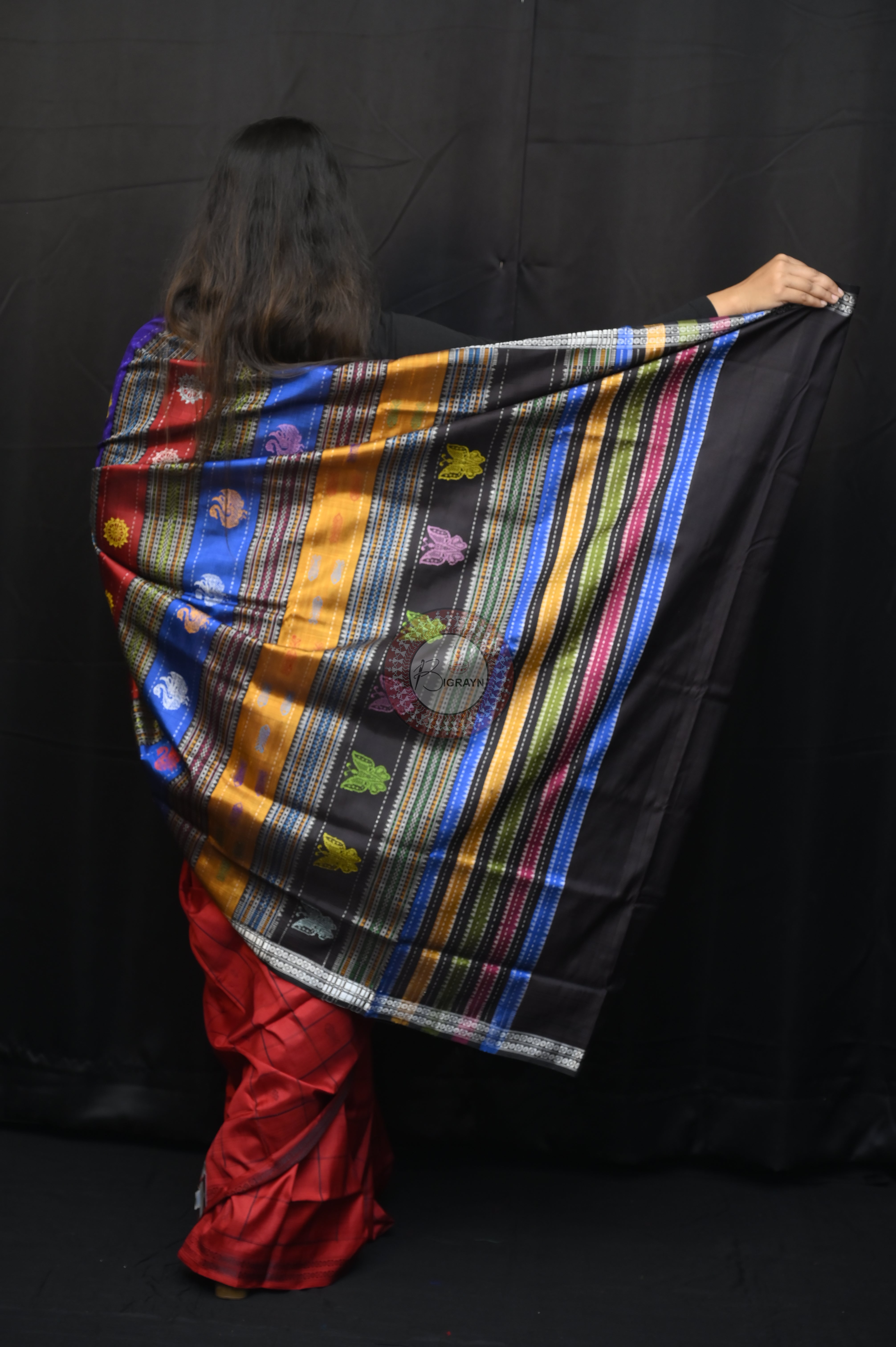 Red Black Checks Animal Double Anchal Berhampuri Silk Saree