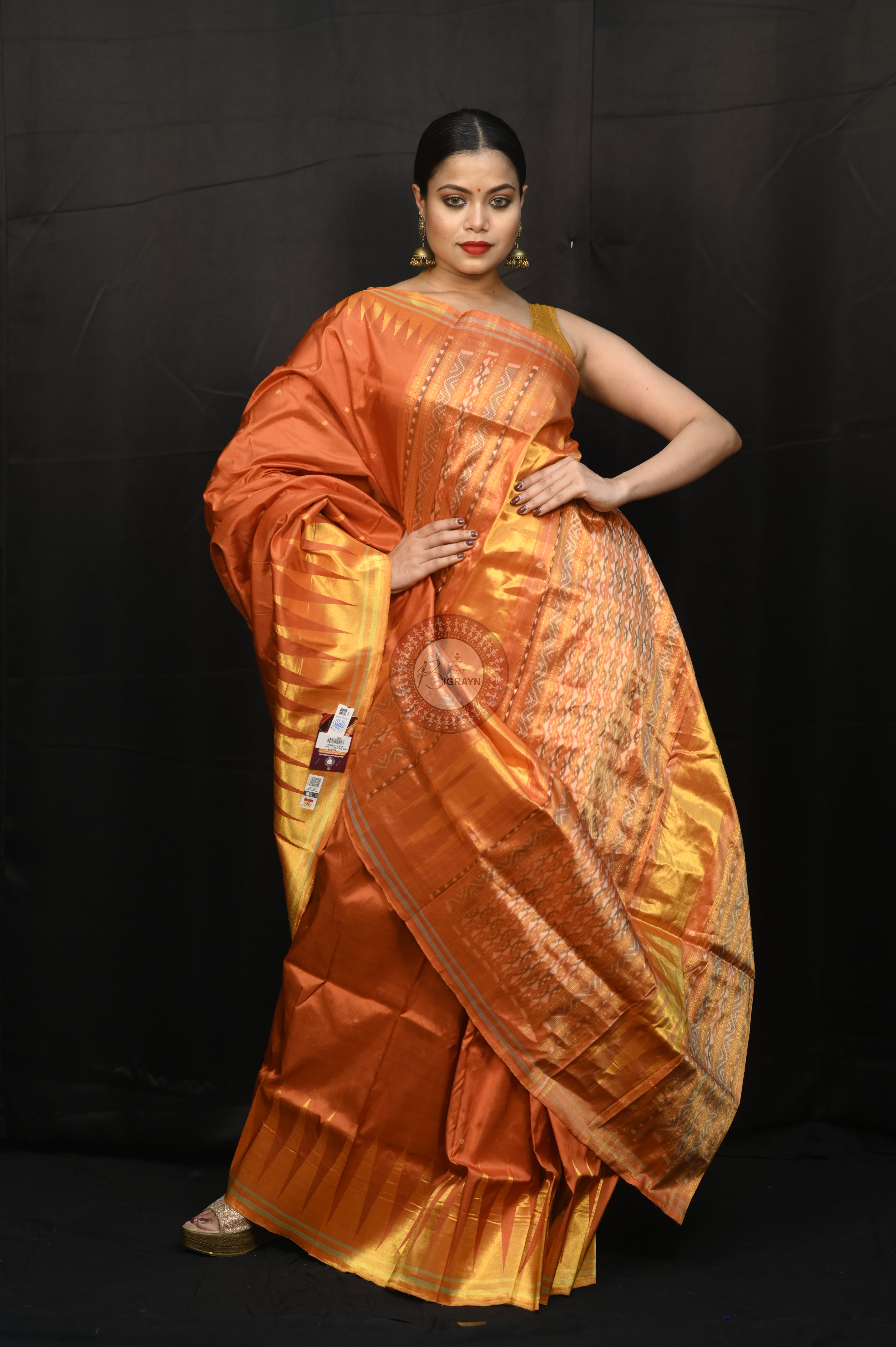 "Odisha Handloom Tissue Silk Saree with shimmering texture, elegant zari border, and lightweight drape, handcrafted by artisans"