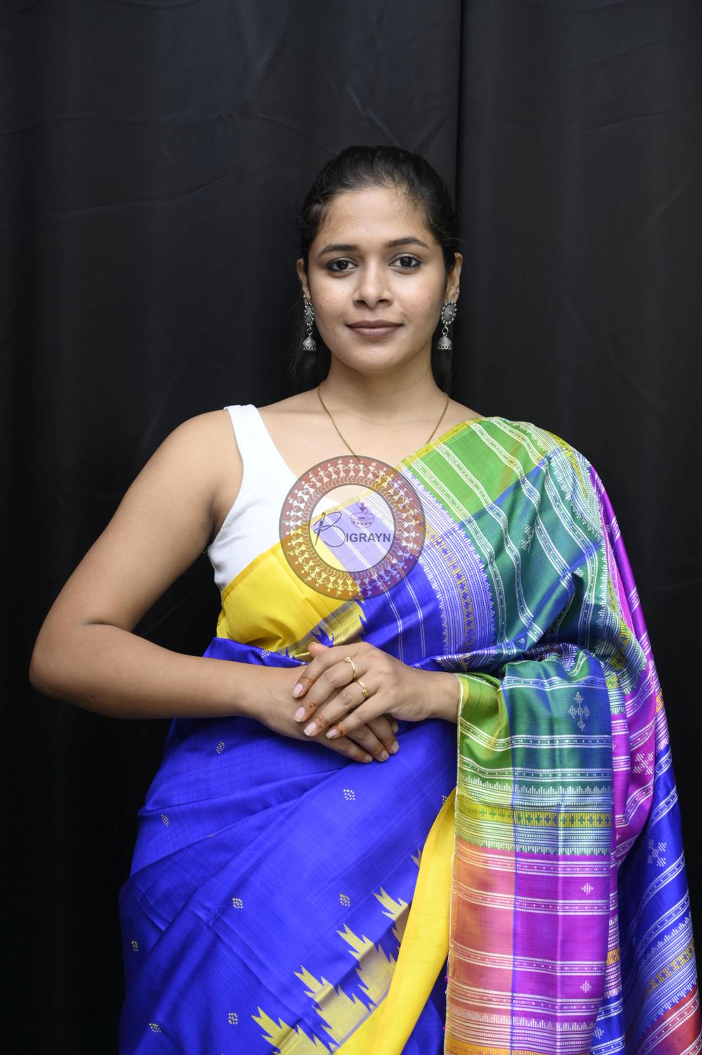 Royal Blue Yellow Multicolour Double Anchal Berhampuri Silk Saree