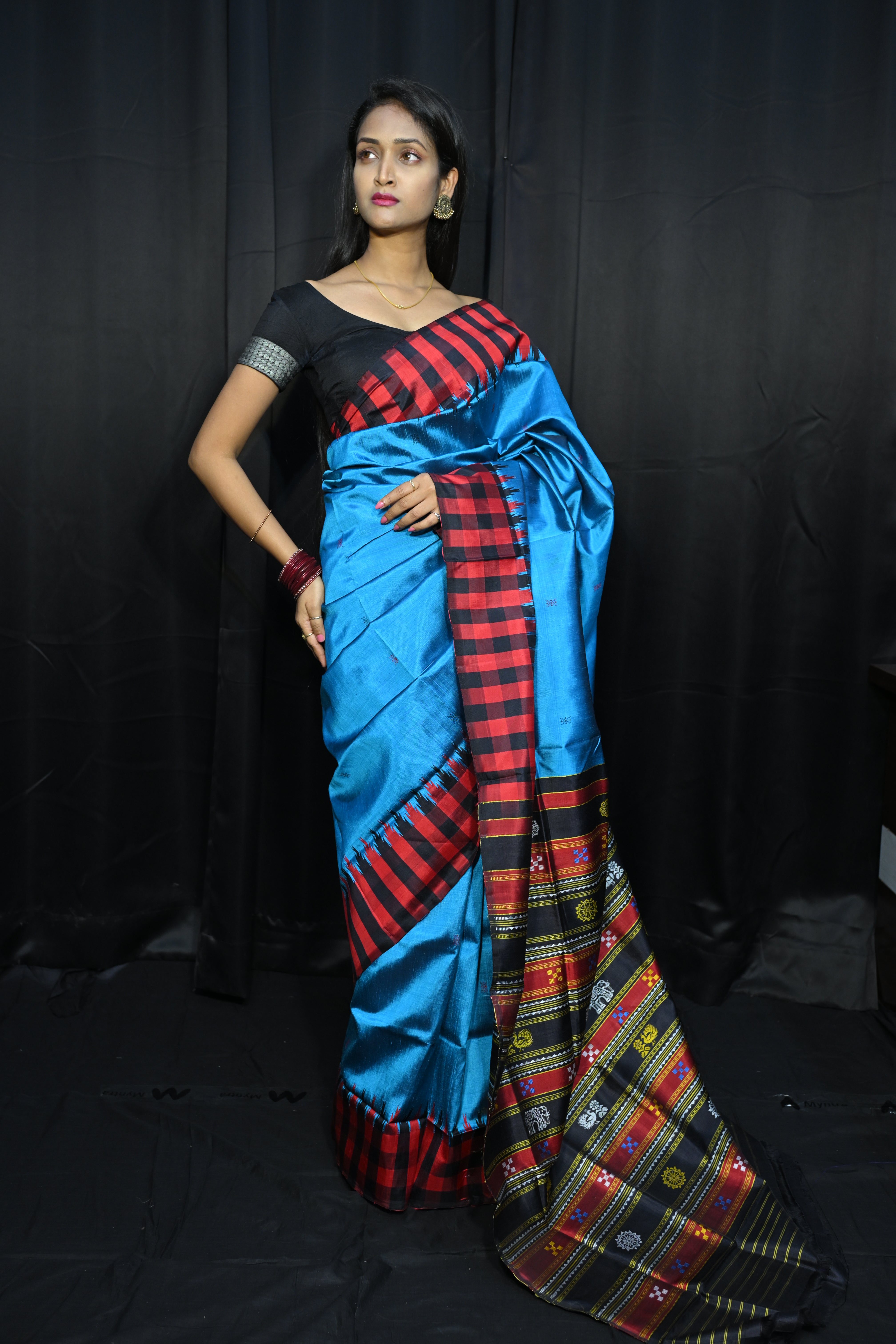 Copper Sulphate Red Multi Colour Double Anchal Berhampuri Silk Saree