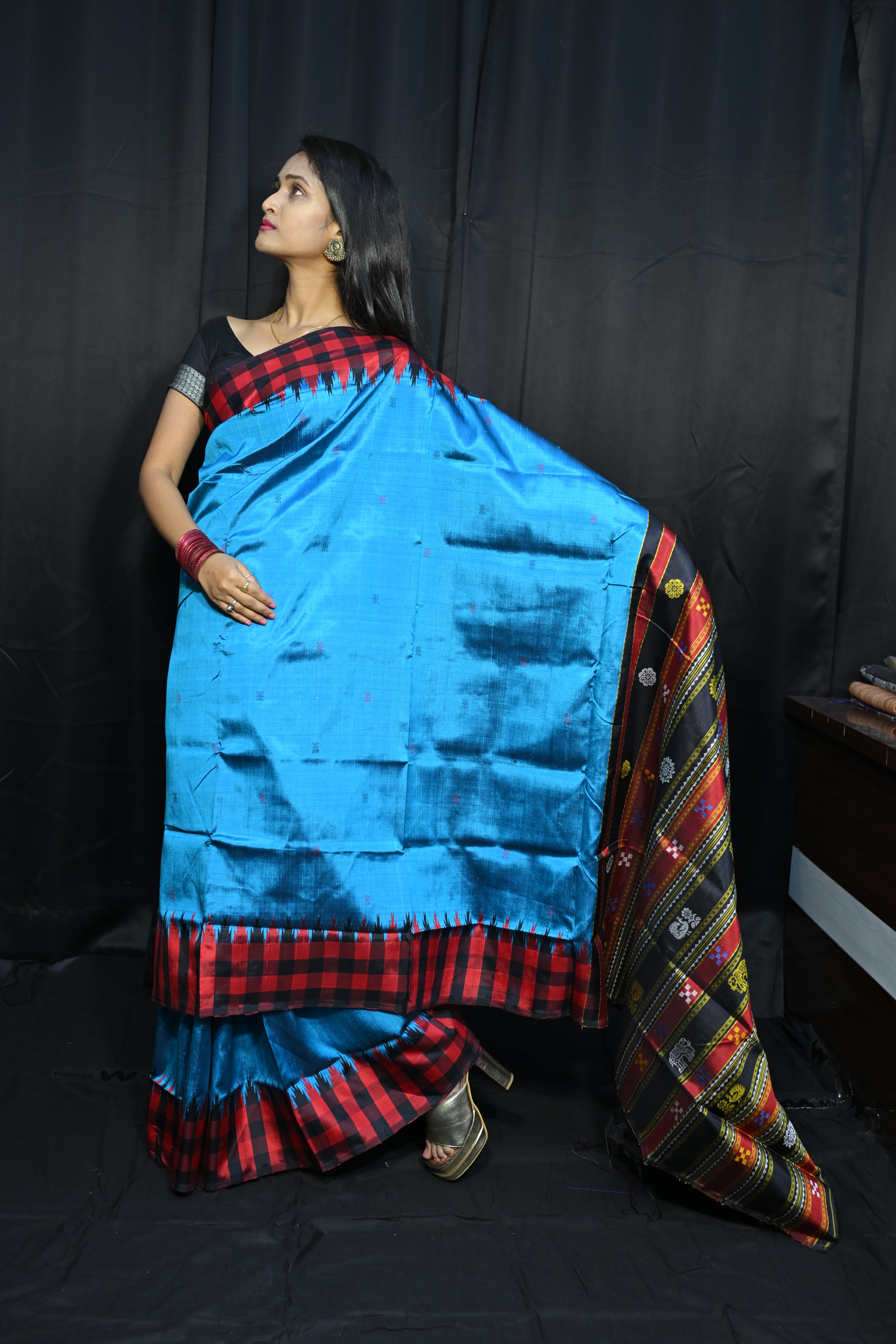 Copper Sulphate Red Multi Colour Double Anchal Berhampuri Silk Saree