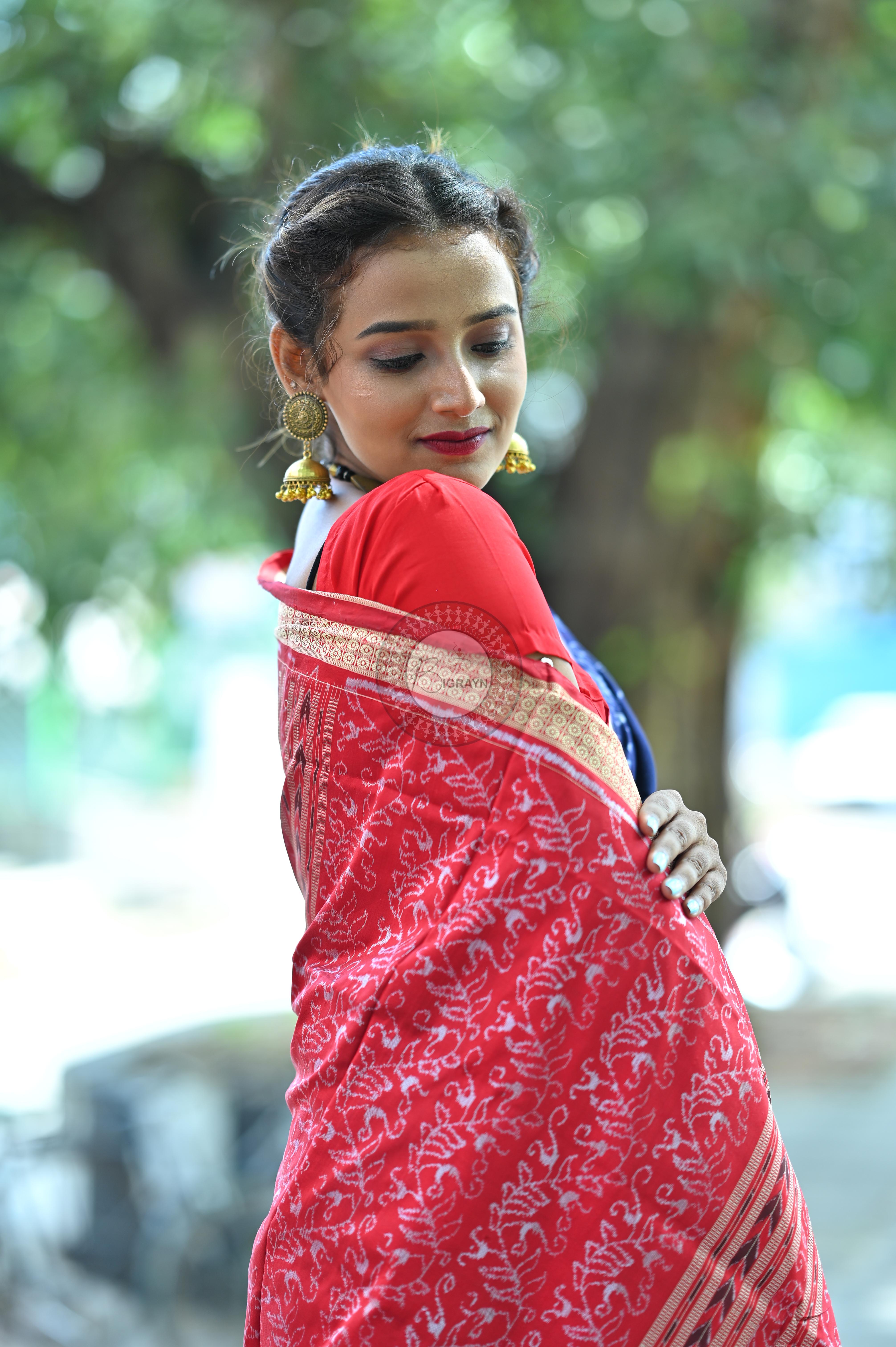 Navy and Red Parsley Sambalpuri Silk Saree