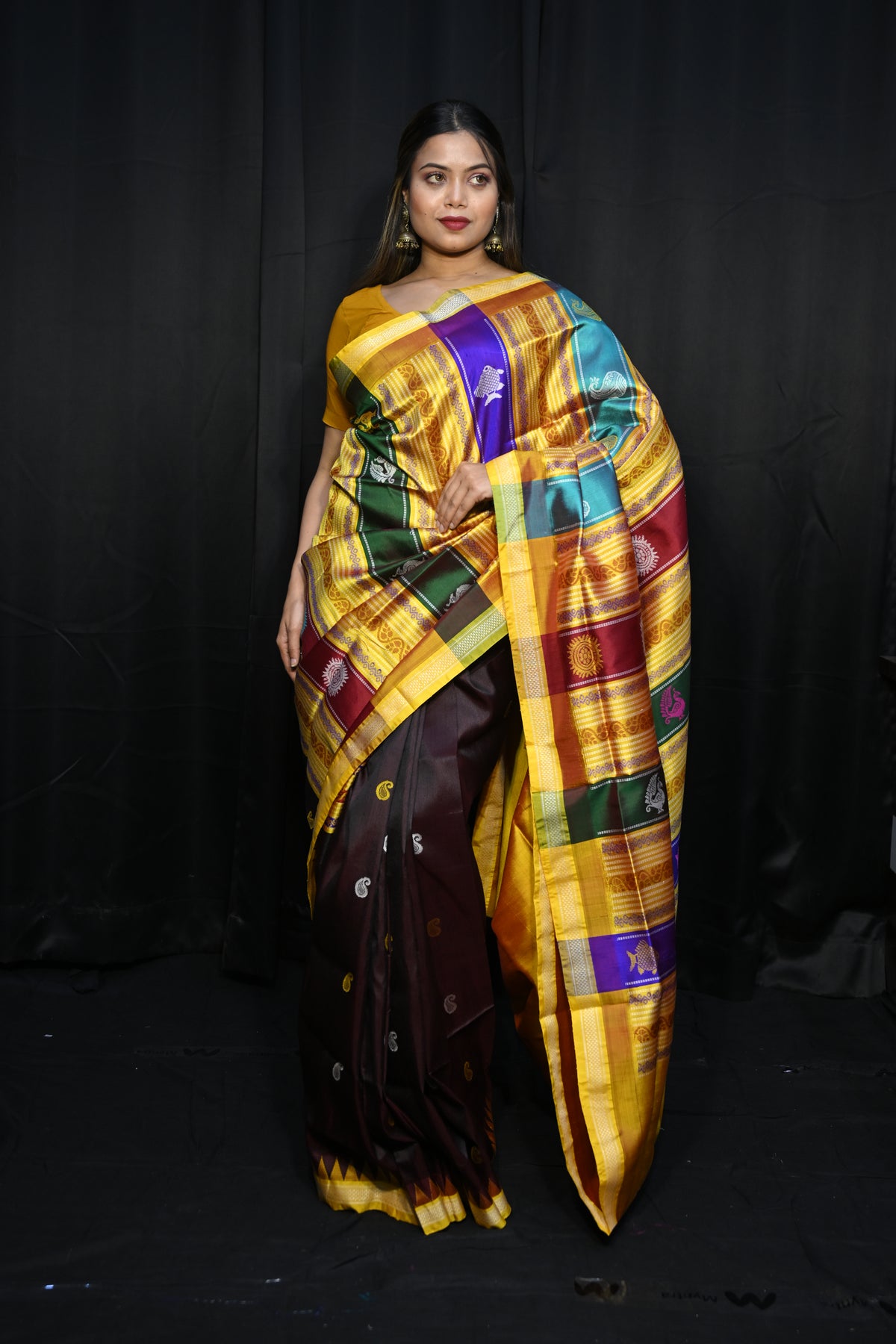 Coffee Yellow Multi Colour Double Anchal Berhampuri Silk Saree