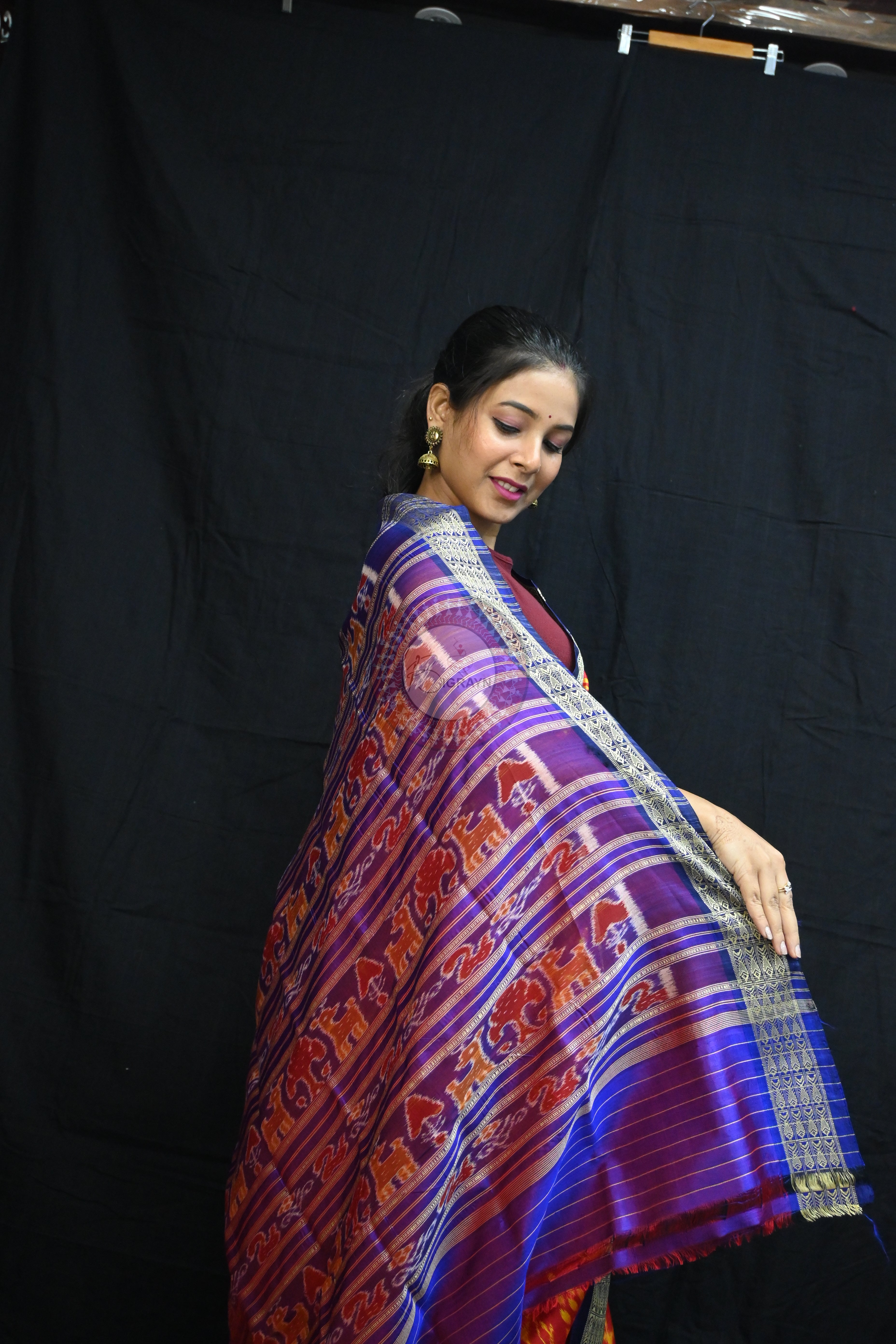 Red Blue Fish Border Tribal Chitta Mulberry Silk Saree