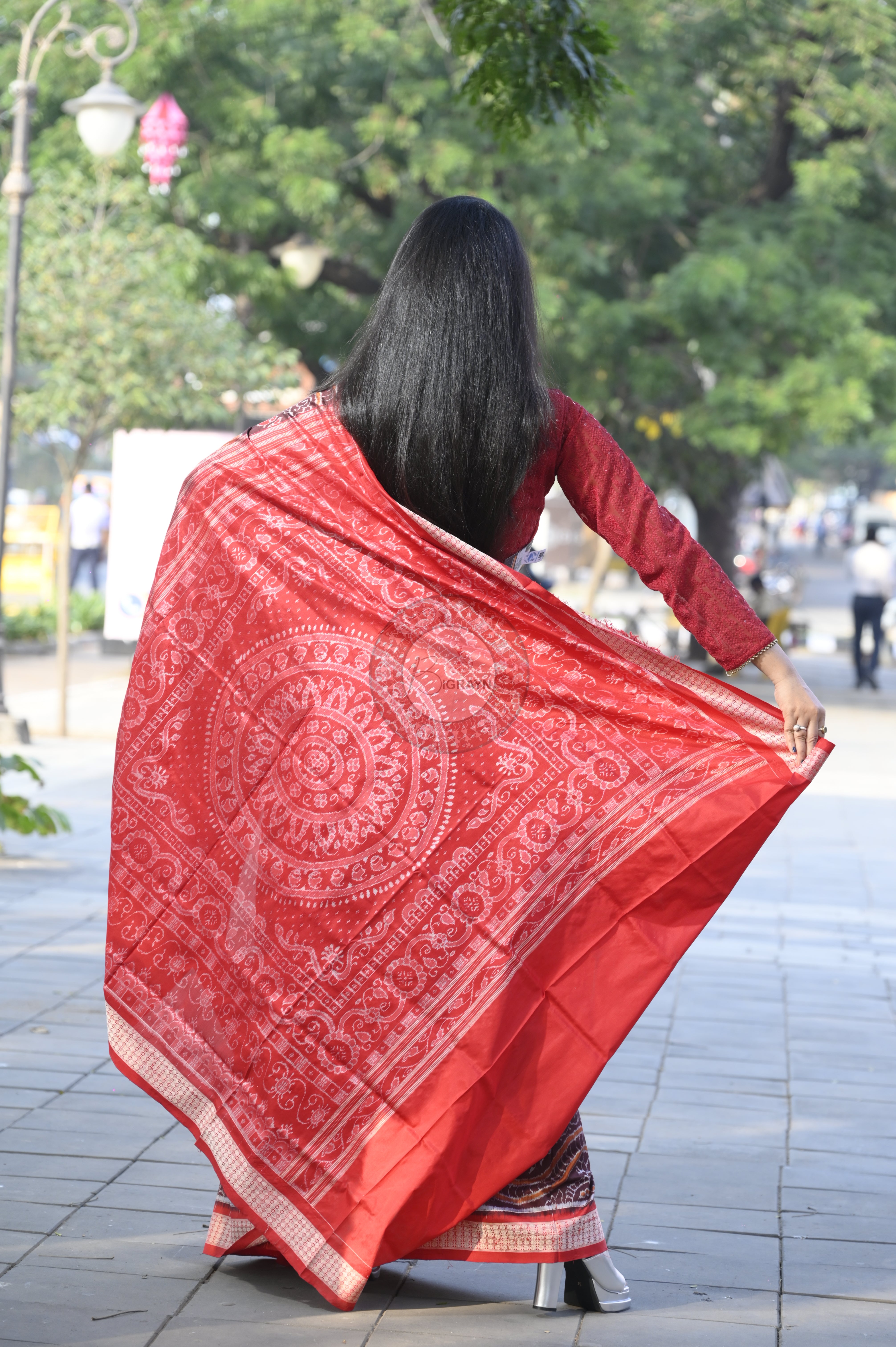 Coffee Red Animal Sambalpuri Silk Saree
