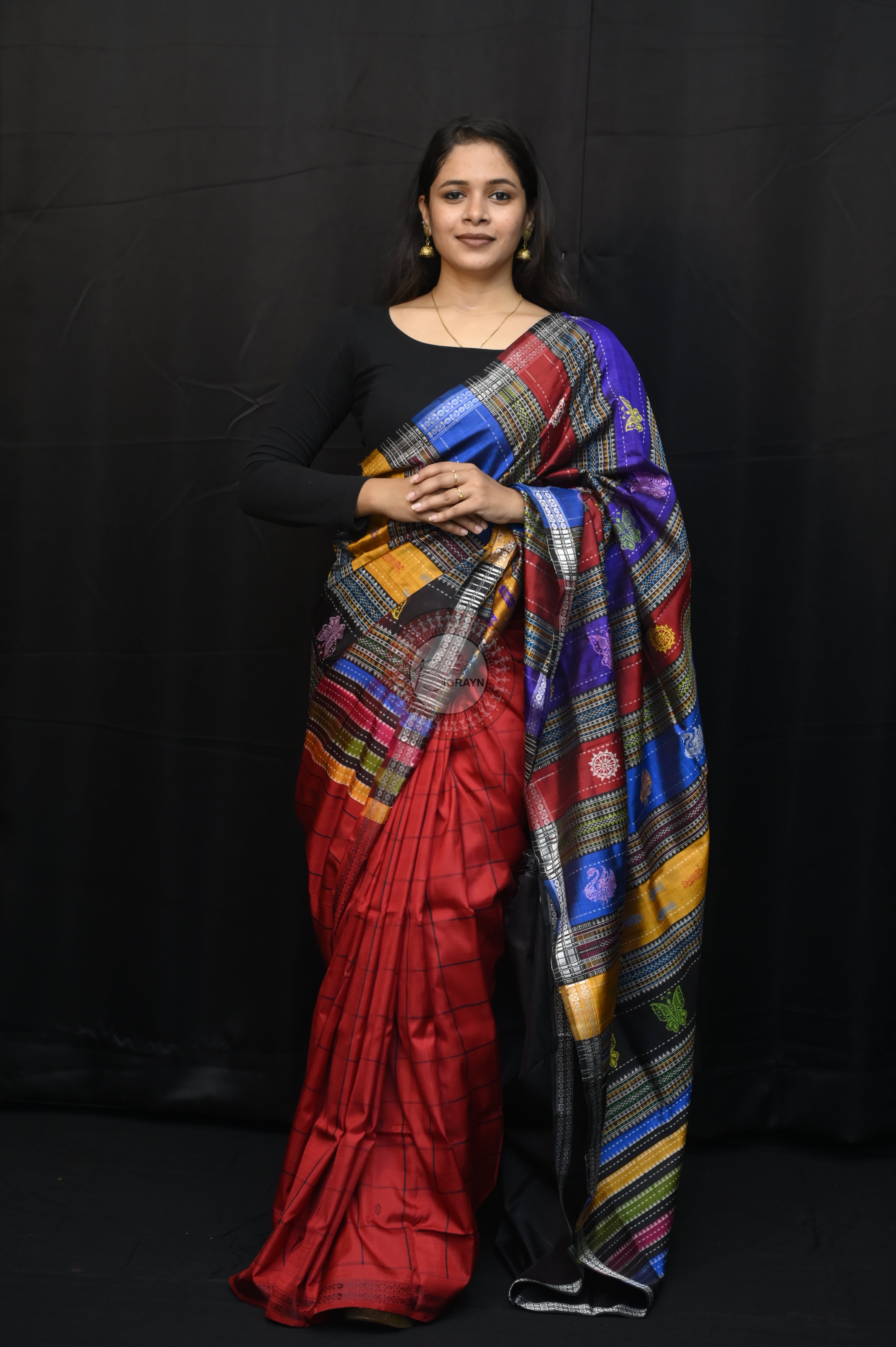 Red Black Checks Animal Double Anchal Berhampuri Silk Saree