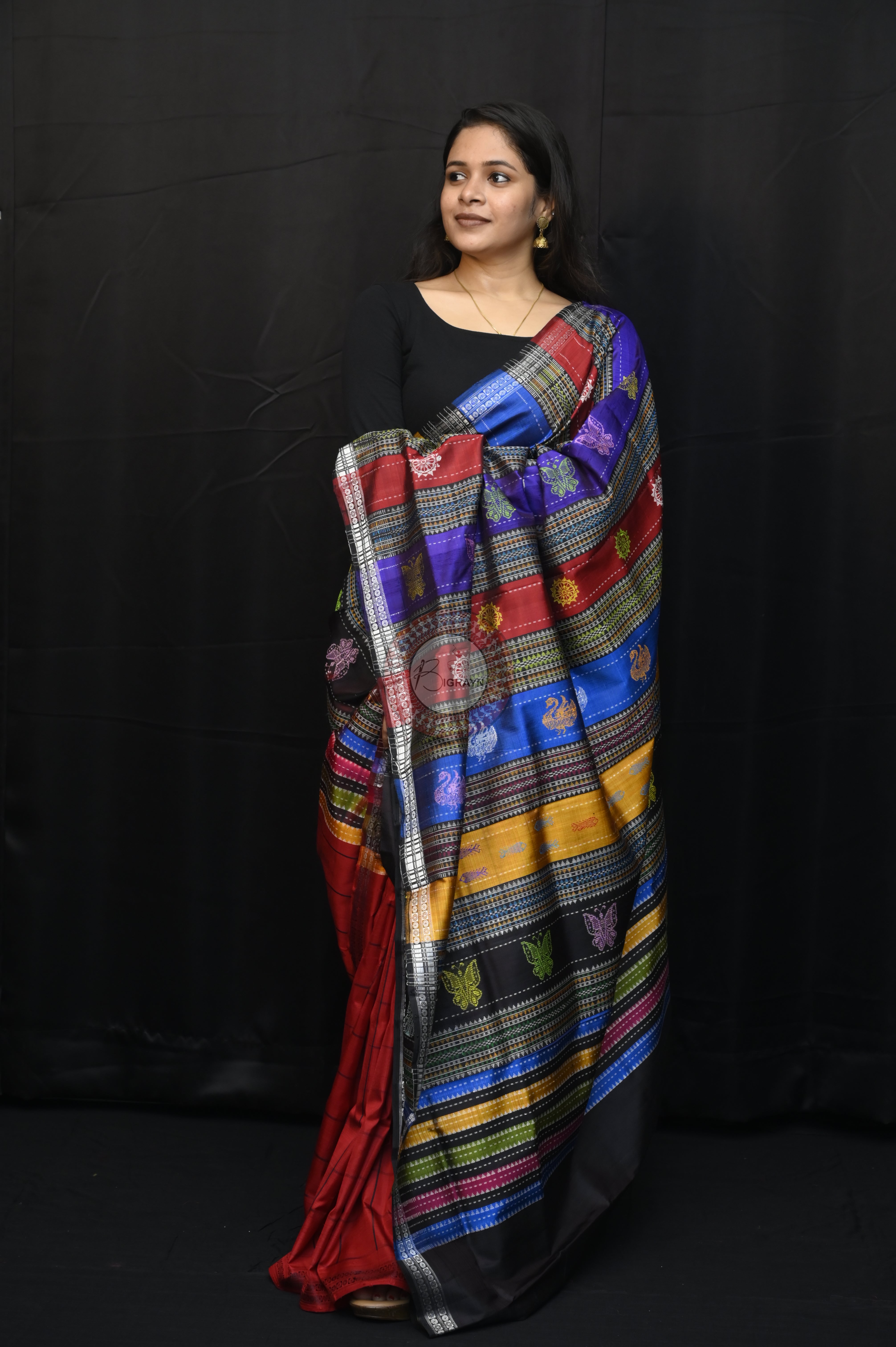 Red Black Checks Animal Double Anchal Berhampuri Silk Saree