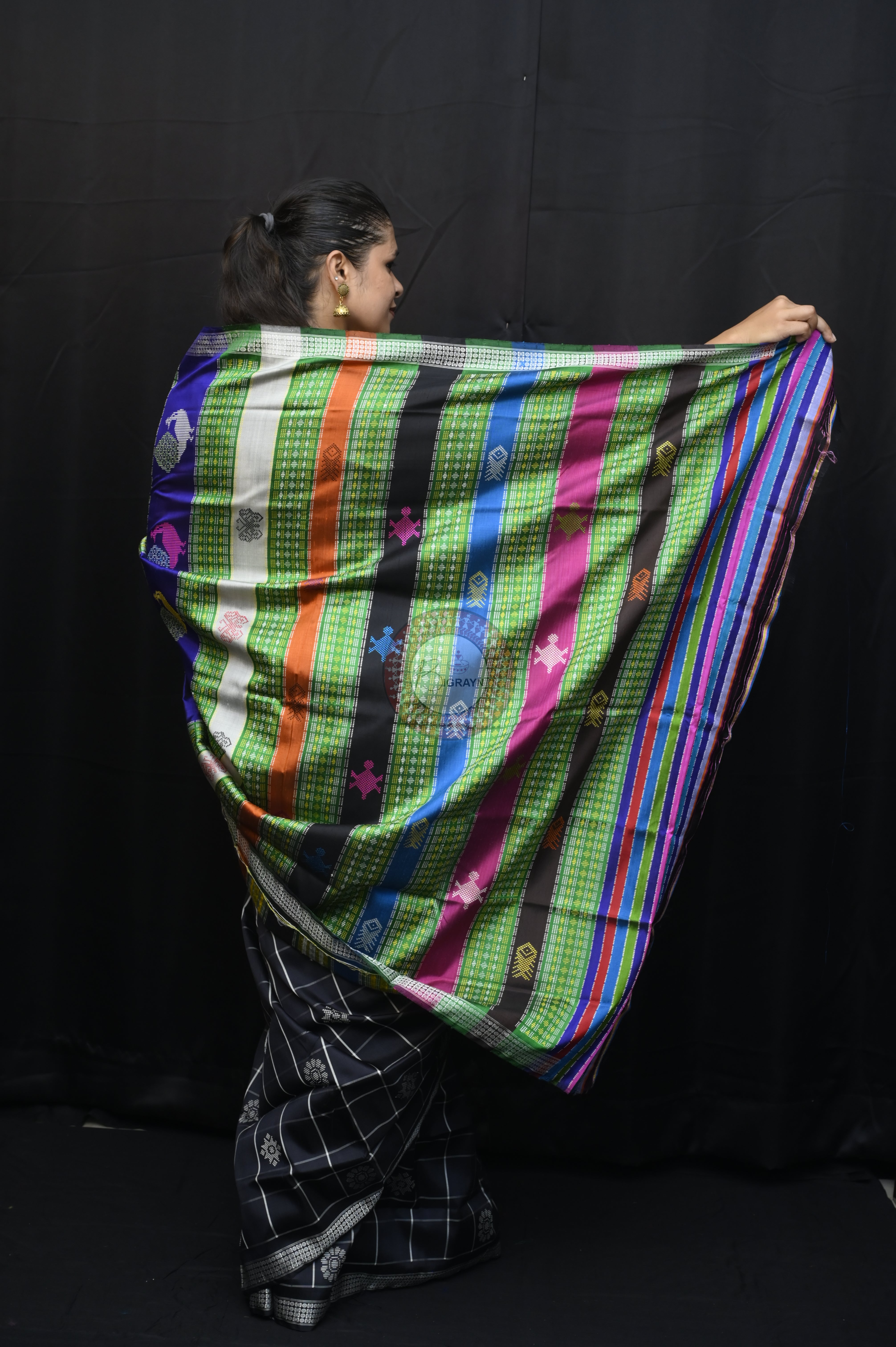 Black Checks Fish Tortoise Double Anchal Berhampuri Silk Saree