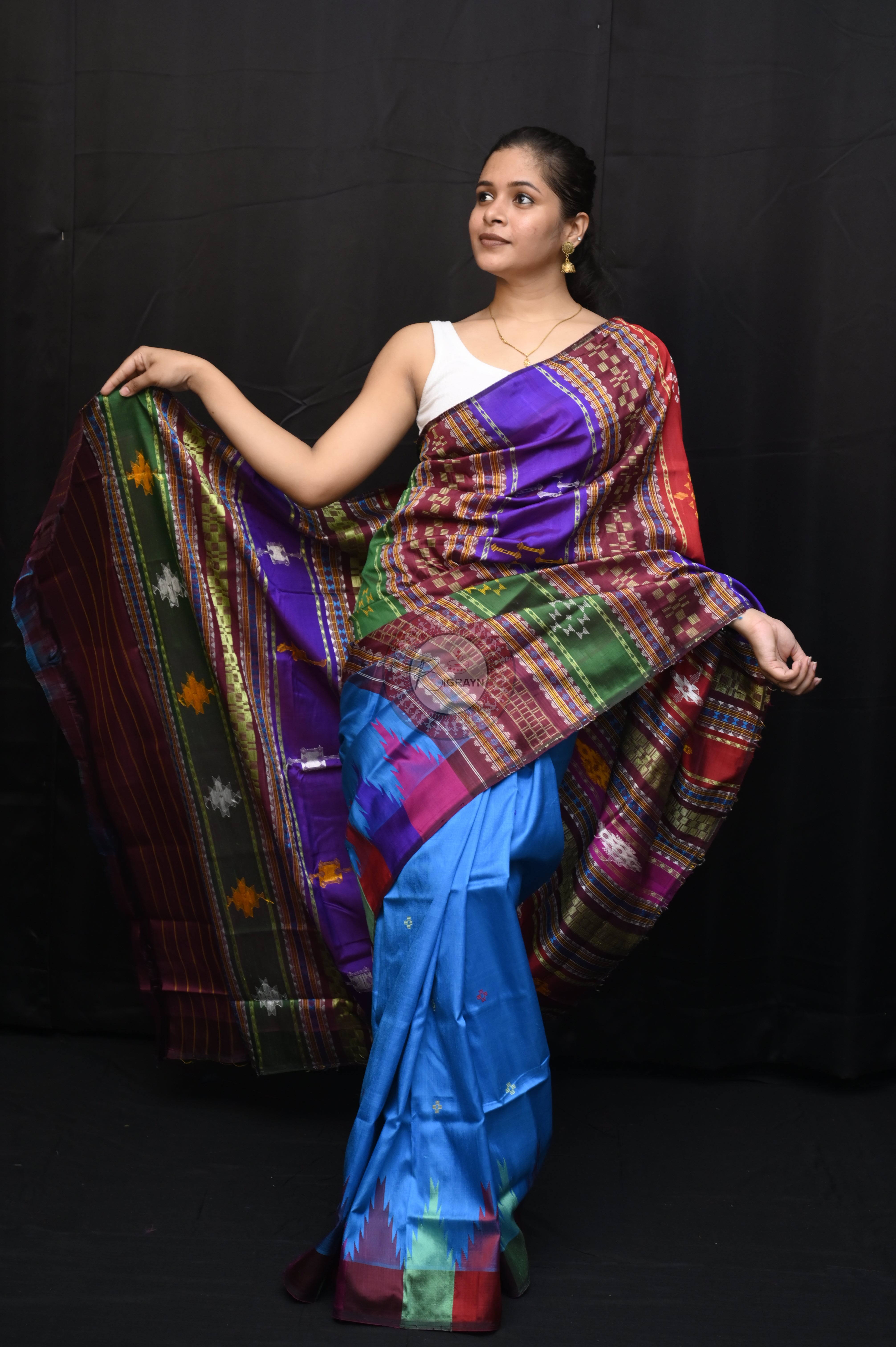 Blue Multicolour Border Double Anchal Berhampuri Silk Saree