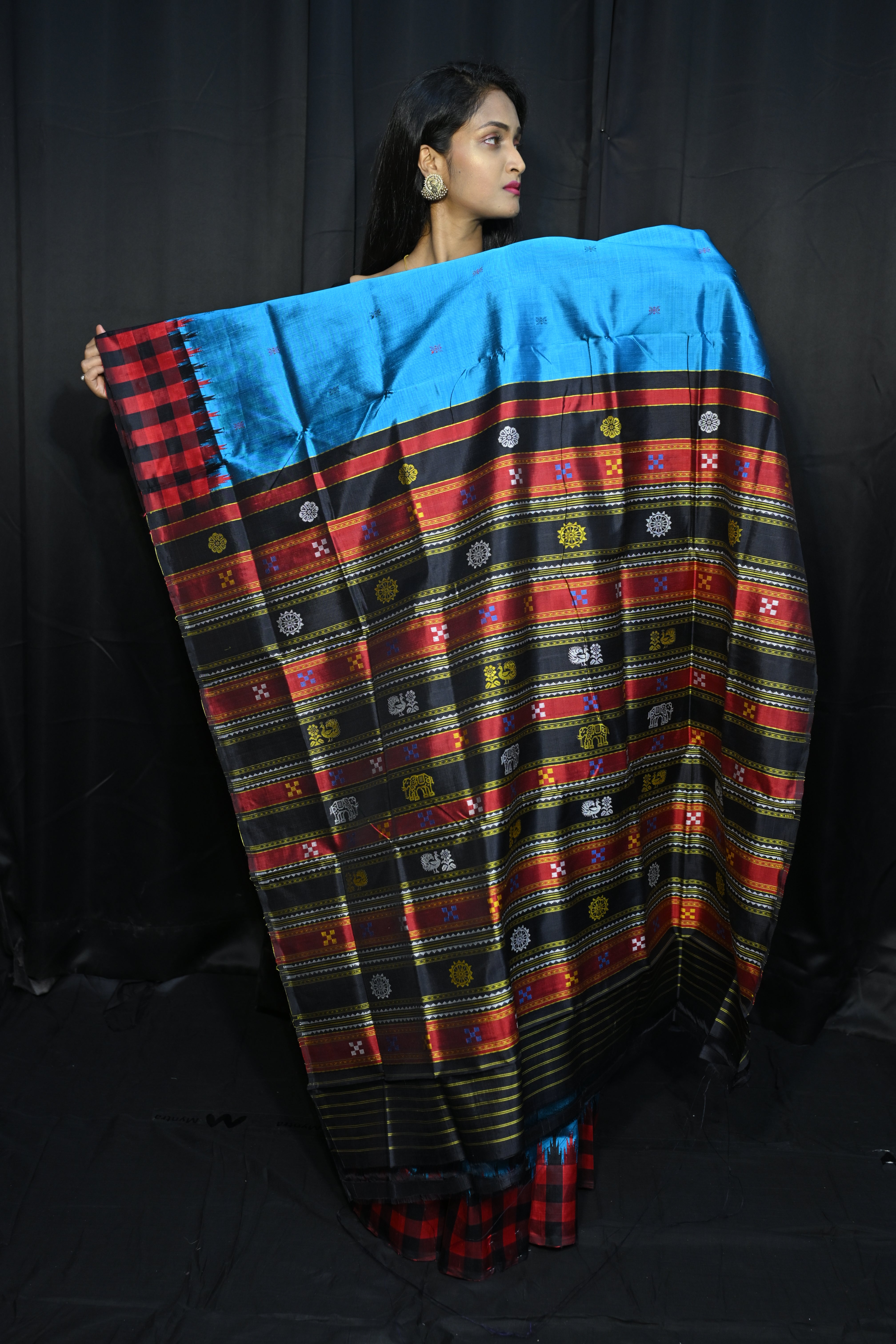 Copper Sulphate Red Multi Colour Double Anchal Berhampuri Silk Saree